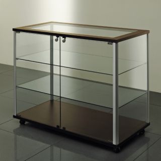 Vitrina independiente BQECO19
